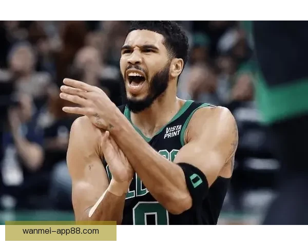 武切维奇手指骨折休整一个月后复出 布朗塔图姆迎来新帮手助力球队